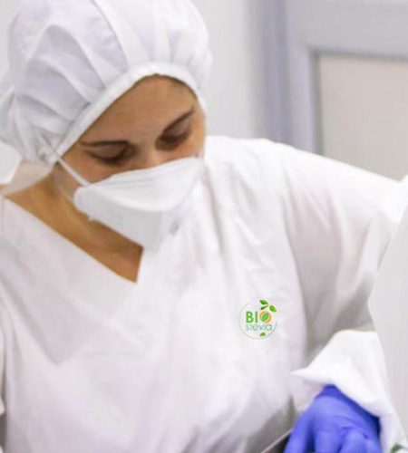 planta_biostevia4